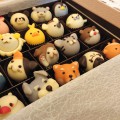 ちょっと早いけど、バレンタインのチョコレート!どうぶつチョコ